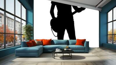 guitarist Wall mural