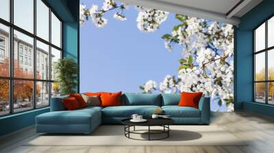 Spring background. Frame of flowering cherry branches against the blue spring sky. Free space for text Wall mural