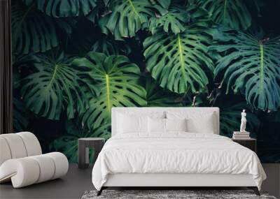 Monstera Philodendron leaves - tropical forest plant Wall mural