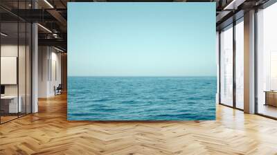 seascape, ocean horizon and blue sky Wall mural