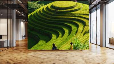 Terraced rice field in harvest season in Mu Cang Chai, Vietnam. Mam Xoi popular travel destination. Wall mural