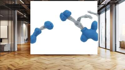 Blue durable dog toy Transparent Background Images  Wall mural