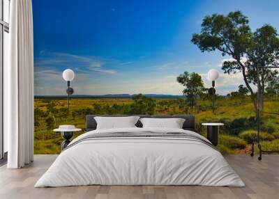 Savanna landscape with low hills, scattered trees and red earth in the area between Halls Creek and Wyndham, in the north of Western Australia
 Wall mural