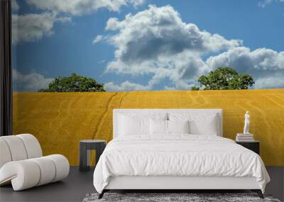 Landscape with clouds Wall mural