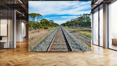 Straight railroad line in the Australian outback, between Esperance and Norseman, Western Australia
 Wall mural