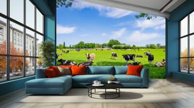 frisian cows in a meadow Wall mural