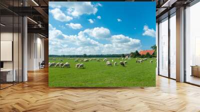 sheep Wall mural