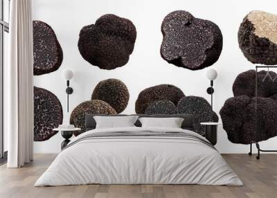 Black truffle PNG collection, truffle photo elements Wall mural