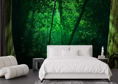 Forest sunlight. Landscape with shining sun rays in green hazy woods framed by old trees Wall mural