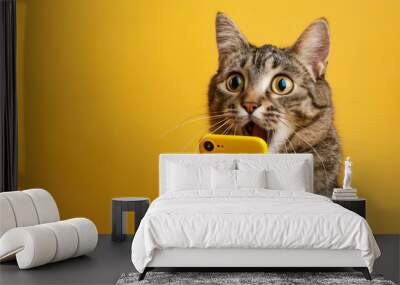 Cute cat shocked hold in hands use mobile cell phone isolated on yellow color background. Funny shopping concept, little kitten holds phone surprised Wall mural