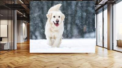 dog outdoors in winter Wall mural