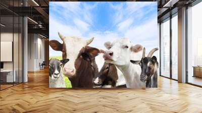 group animals Wall mural