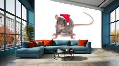 rat in a New Year's hat on white background Wall mural