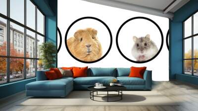 set of pets Wall mural