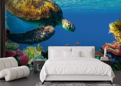 underwater sea turtle swims Wall mural