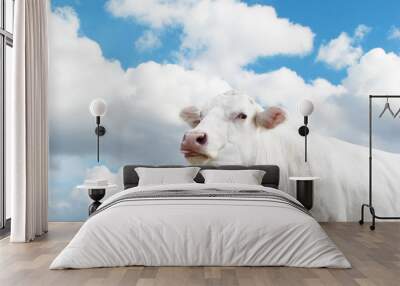 white cow Wall mural