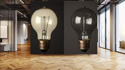 Two vintage lightbulbs on a dark background. Wall mural