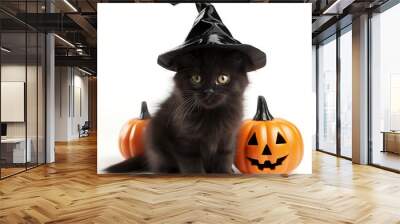 A cute cat kitty is posing near Halloween pumpkins, wearing a witch’s black hat on isolated white background, Halloween costume for animals, pets, cats, Autumn, Fall Concept, October 31, Canva Wall mural