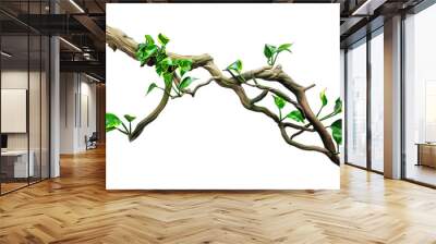 a twisted jungle branch with plant growing isolated on white background, cutout, png, 3D illustration Wall mural