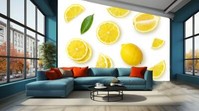 set of citrus fruits isolated on white background Wall mural