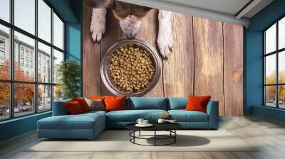 Dog and bowl of dry kibble food Wall mural