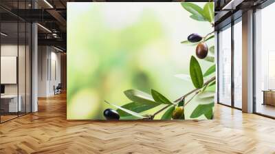 green olive tree branch Wall mural