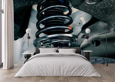 shock absorber strut with coil spring, suspension system of modern car Wall mural