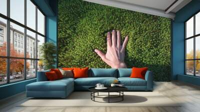 A hand touches a green forest moss. Point of view. Sunlight Wall mural