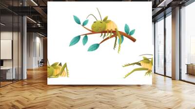 Cute Little Grasshopper Engaged in Various Activity Vector Set Wall mural