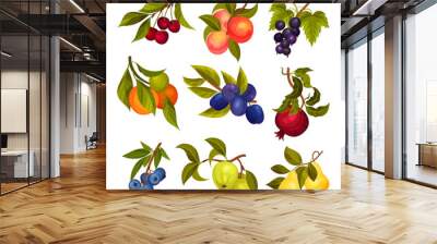 Garden Fruit Branches with Pomegranate and Plum Spur Vector Set Wall mural