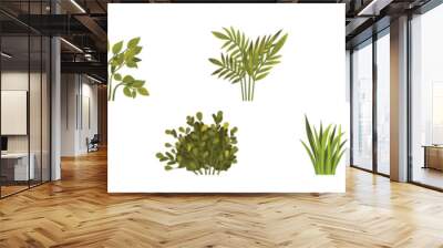 Green Bush with Leafy Stem as Outdoor Growth Vector Set Wall mural