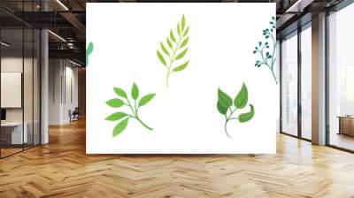 Green Twig and Branch with Leaves Vector Set Wall mural