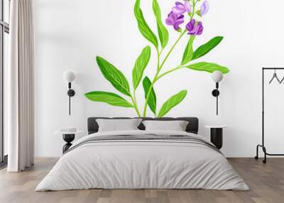 Medicago Sativa or Alfalfa Plant Having Elongated Leaves and Clusters of Small Purple Flowers Vector Illustration Wall mural