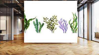 Set of green algae. Vector illustration on a white background. Wall mural