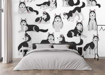 Siberian husky dog set. Active pet animal running, sitting and lying cartoon vector Wall mural