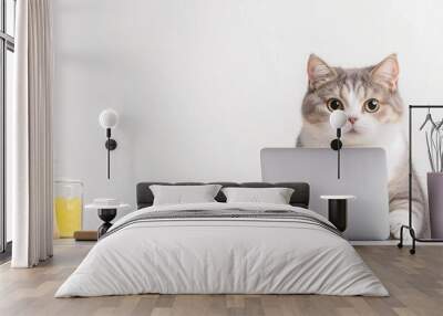 Focused Cat at Desk with Laptop and Marketing Flyers, Kitchen Tools Nearby on White Background. Wall mural