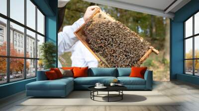 Imker beim kontrollieren der Bienen im Herbst Wall mural