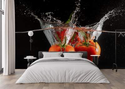 Fresh red tomatoes and water splash against black background. Natural vegetable. Tasty farm food Wall mural