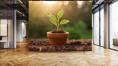 Young plant with fresh leaves in ceramic pot. Nature, gardening and green environment concept. Wall mural