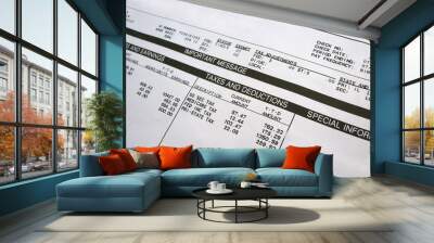 pay stub Wall mural