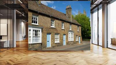 Row of Victorian Cottages with Tree and Church Tower Wall mural