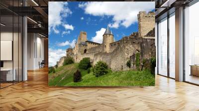 The medieval fortified city of Carcassonne, France on a spring day. Wall mural