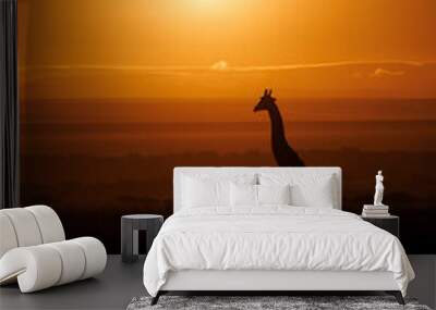 A Giraffe at Sunrise in Africa  Wall mural