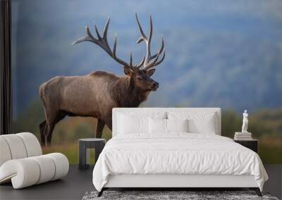 Bull Elk During the Rut in Autumn  Wall mural