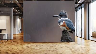 Kingfisher on a Perch in the Rain Wall mural