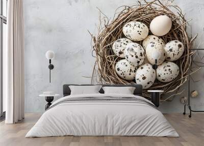 A group of speckled eggs arranged in a nest on a light gray background Wall mural