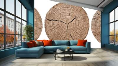 Cross section of tree trunk showing growth rings on white background. wood texture. set Wall mural