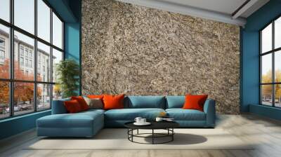 stone texture background Wall mural