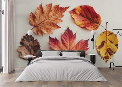 a group of autumn leaves with the word autumn on them. Wall mural