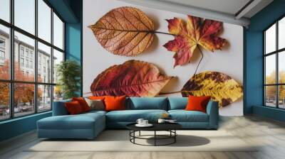 a group of autumn leaves with the word autumn on them. Wall mural